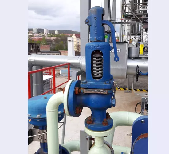 Pressure Safety Valve